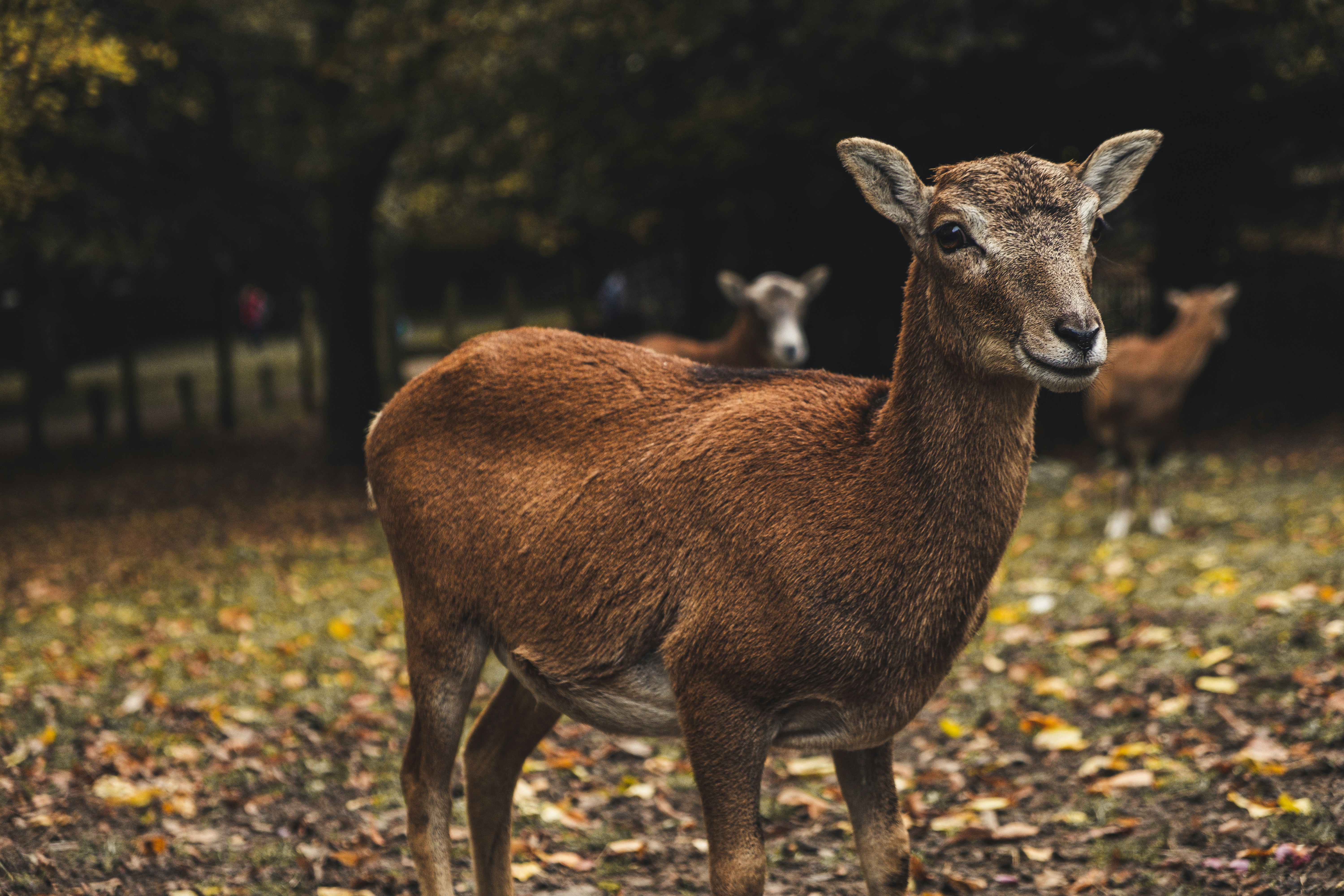 Photo by moritz_photography