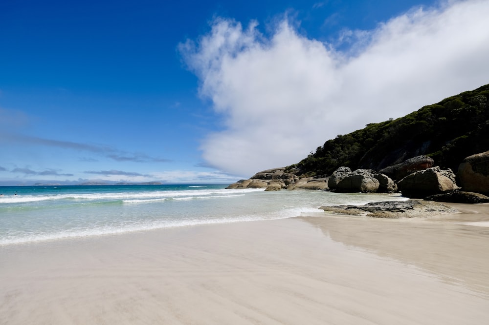 seashore at daytime