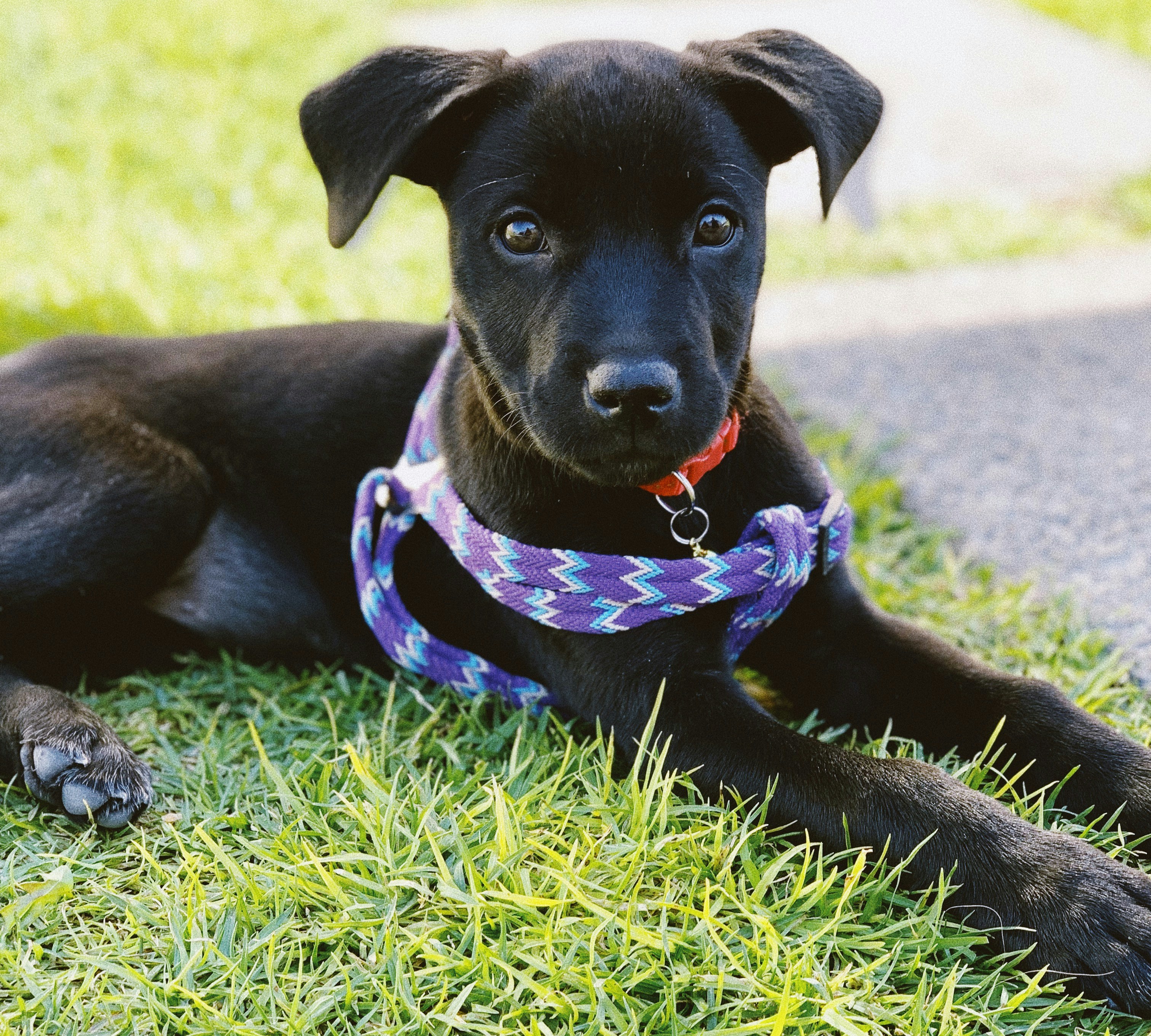 Photo by _beatlefreaki