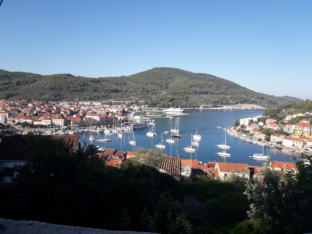 aerial photography of sea with yacht lot