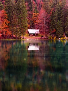 A serene lakefront cabin surrounded by autumn trees.