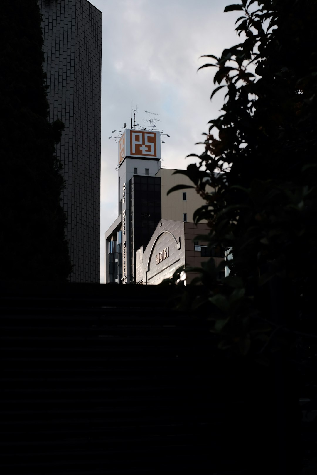 silhouette of tree under PS building