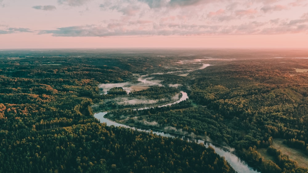 aerial photo of amazon river