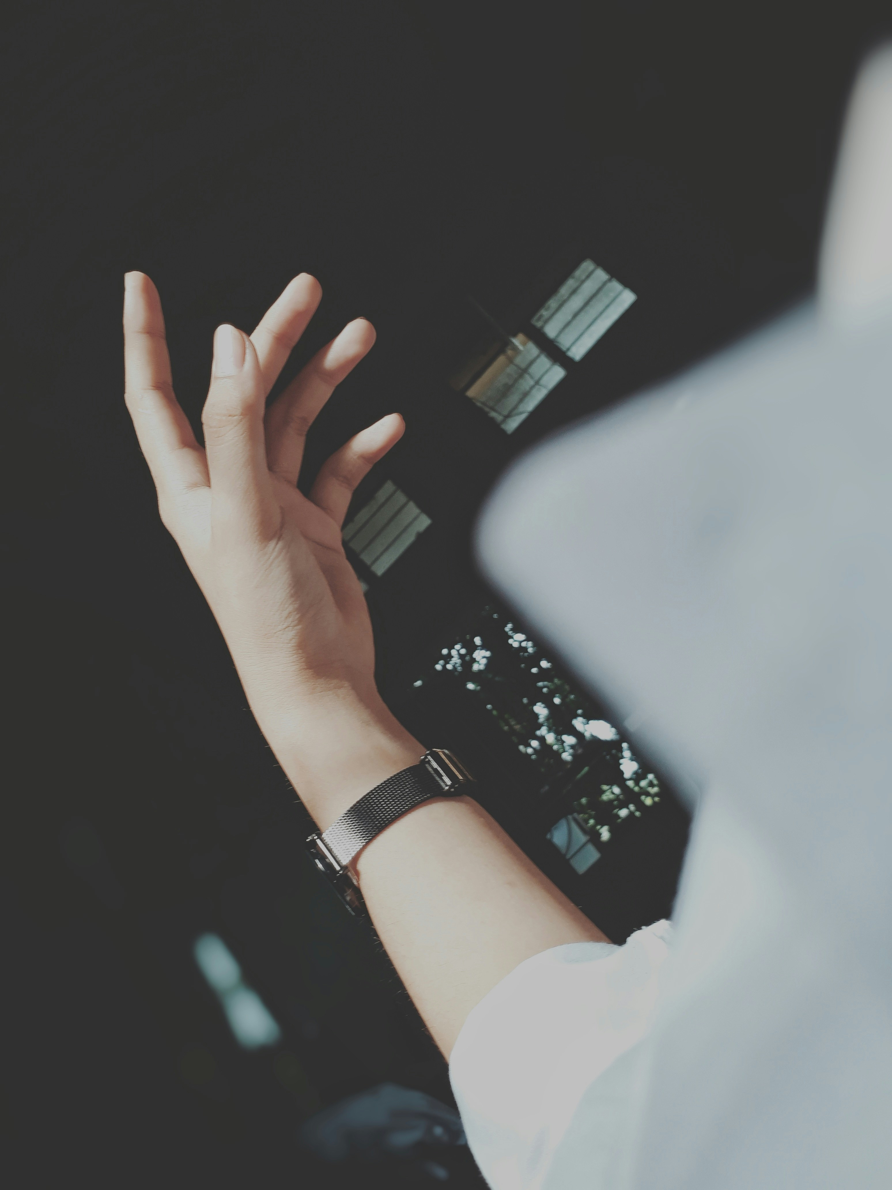 Photo by wildgreyice