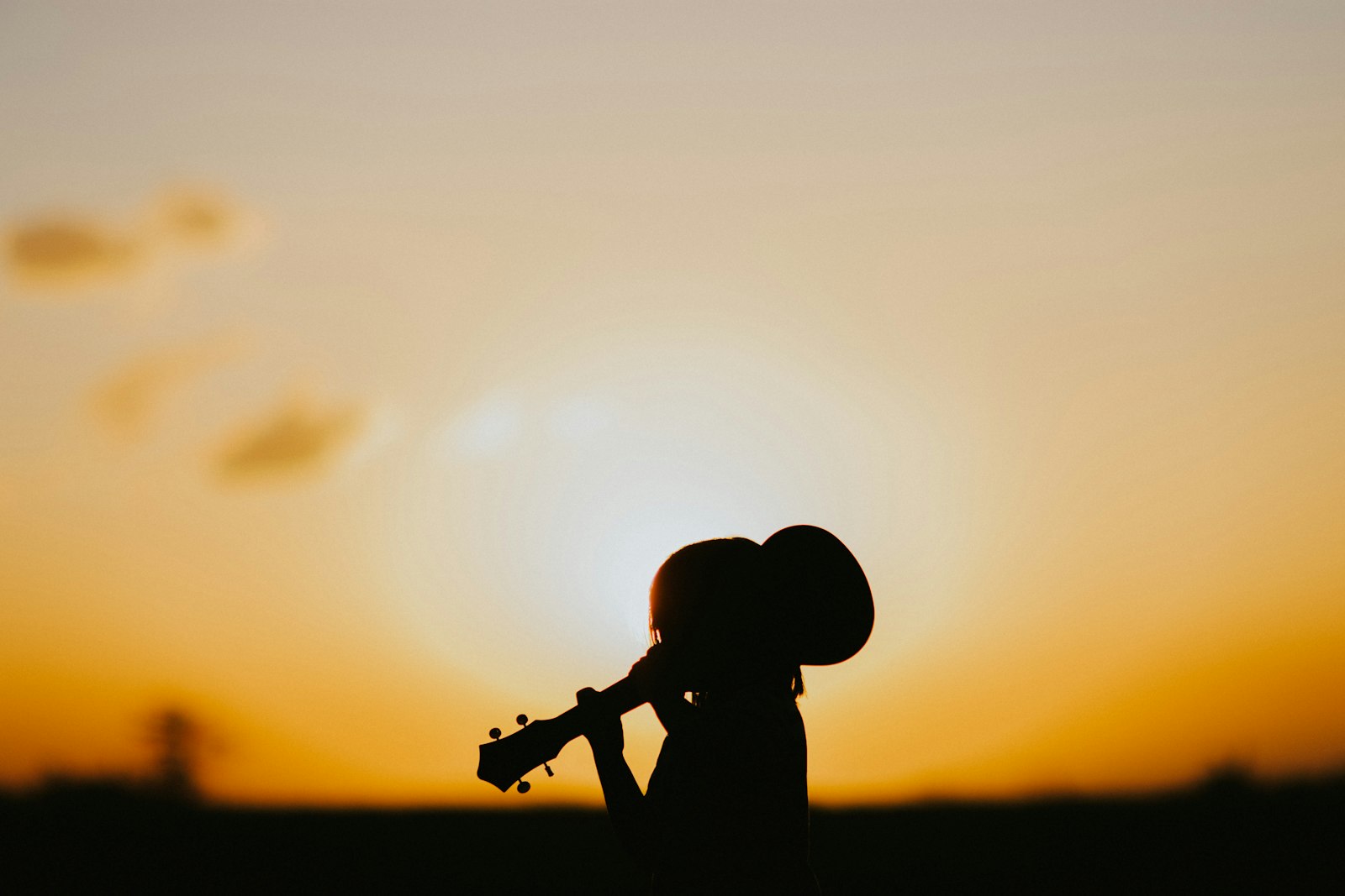 Nikon D7200 + Nikon AF-S Nikkor 24-70mm F2.8G ED sample photo. Silhouette person holding guitar photography