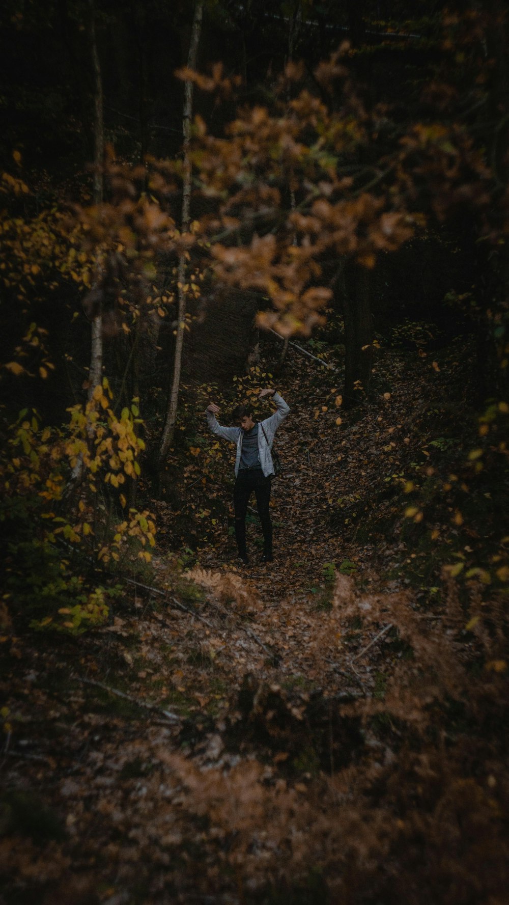 man standing in forest