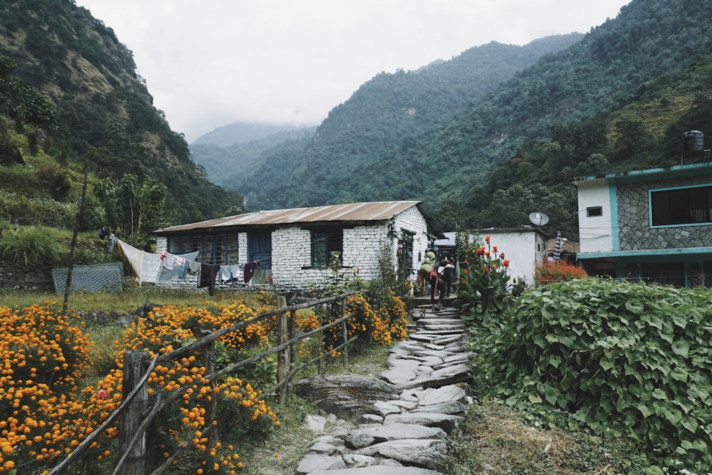 Photo d’une maison en rondins blancs et d’un jardin fleuri