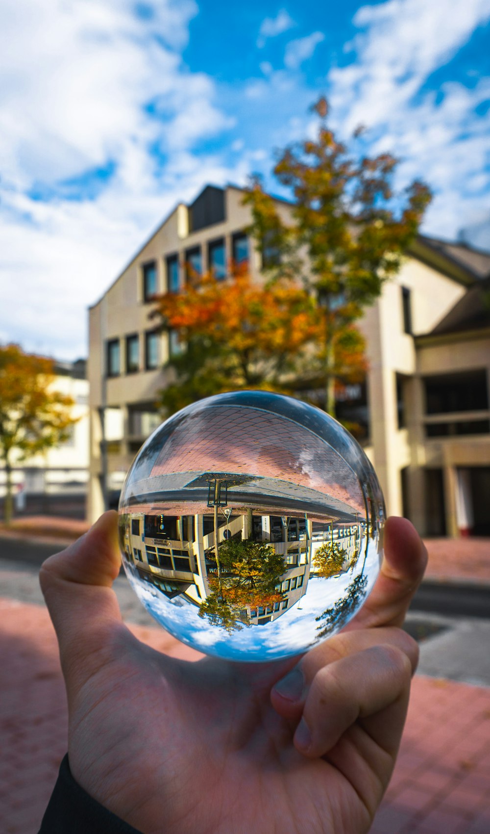 person holding clear glass ball