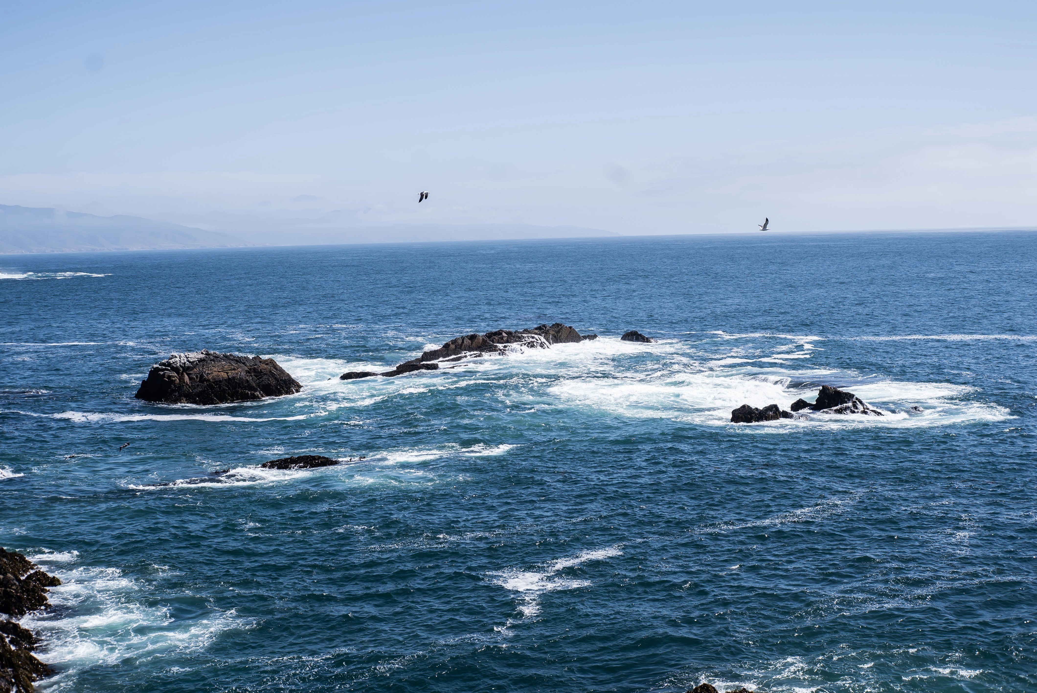 Photo by orlandodominguezfotografia