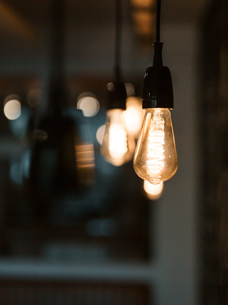 The Environmental Impact of Switching to LED
