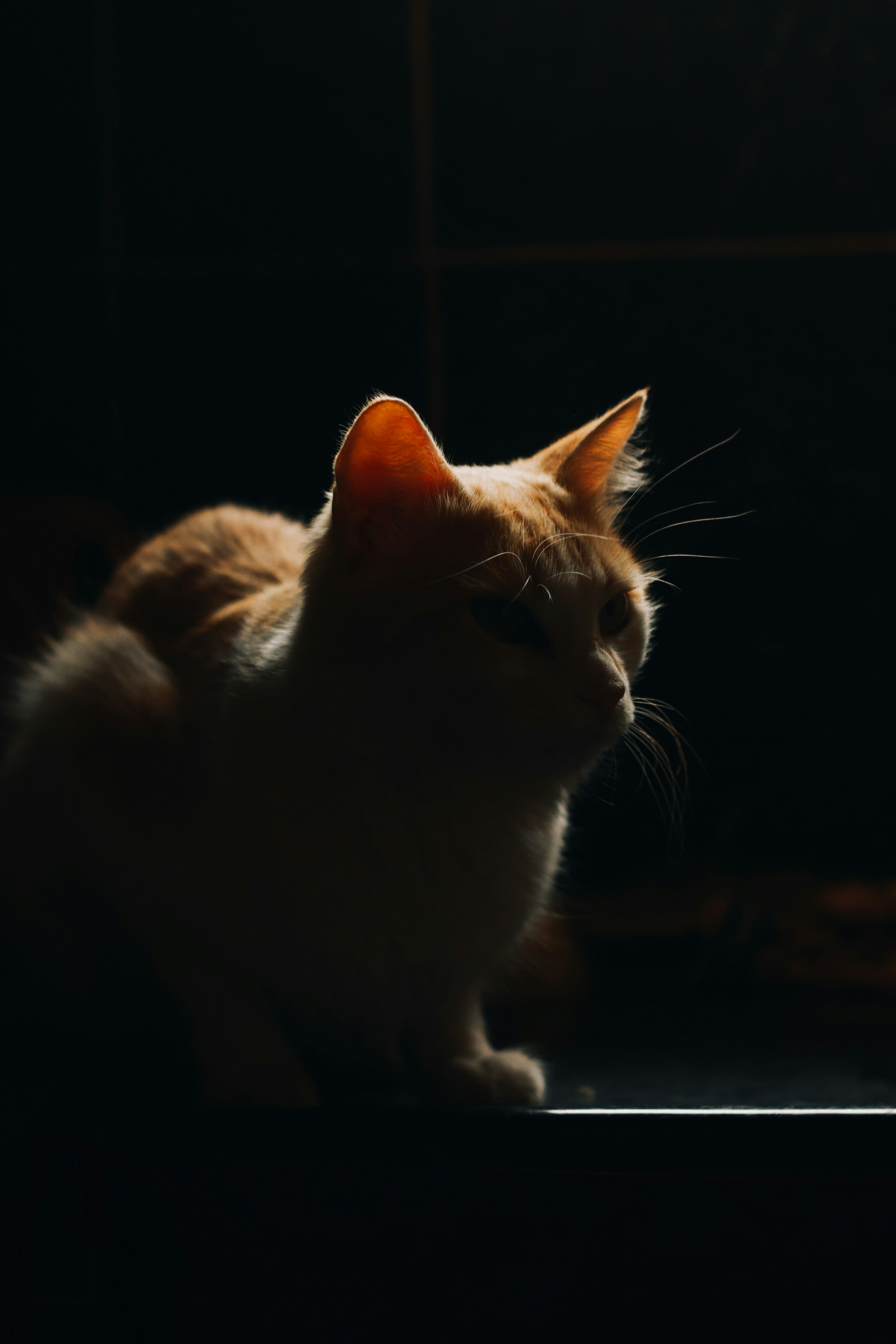 Photo by jeffersonftg