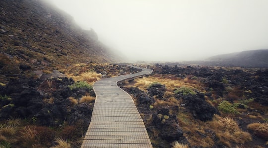 pathway on hill in Tongariro National Park New Zealand