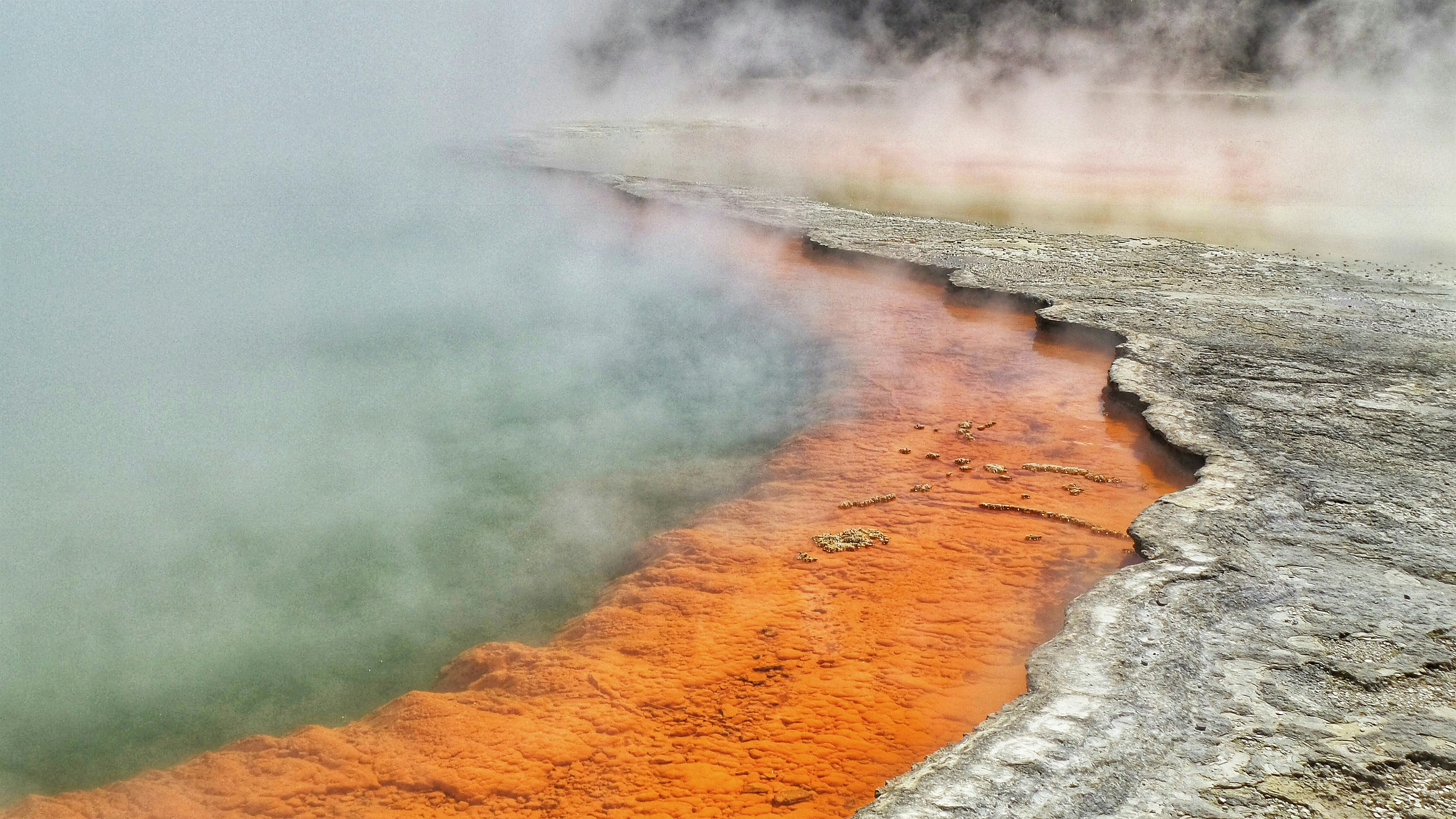 a body of water with steam rising from it, Bright geothermal pools at Rotorua, New Zealand