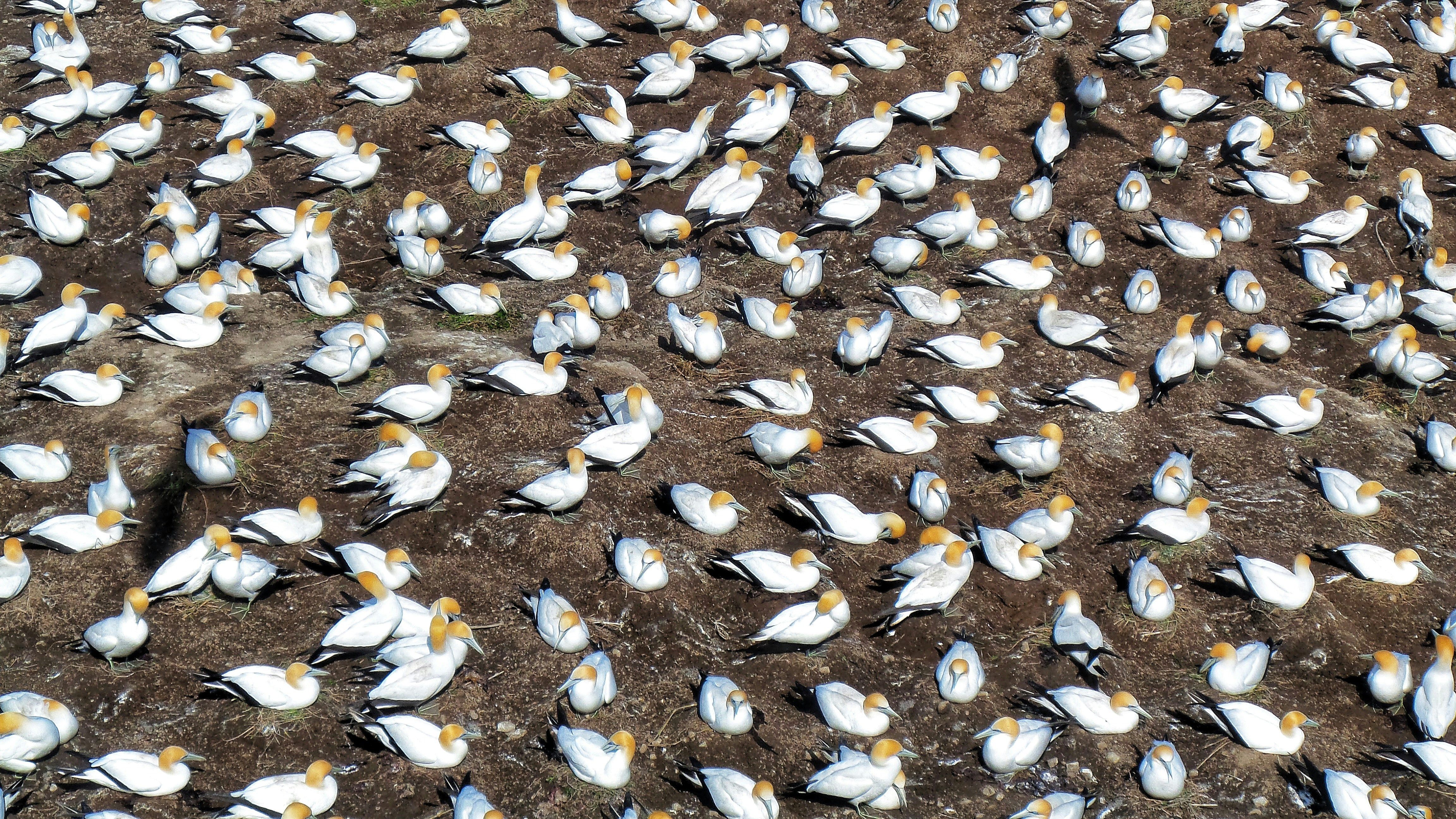 Photo by hannahwrightdesigner