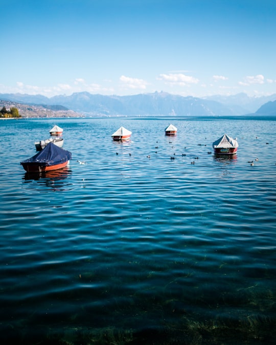 white and blue canoes on body of water during daytime in Lausanne Switzerland