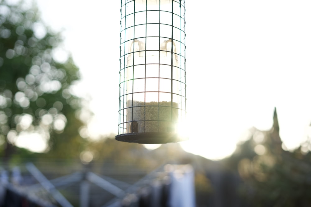 a bird feeder hanging from the side of a tree