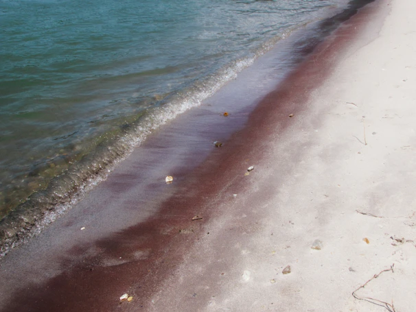 Coastal shoreline of Colima with gentle waves meeting the sandy beach near the salt flats.
