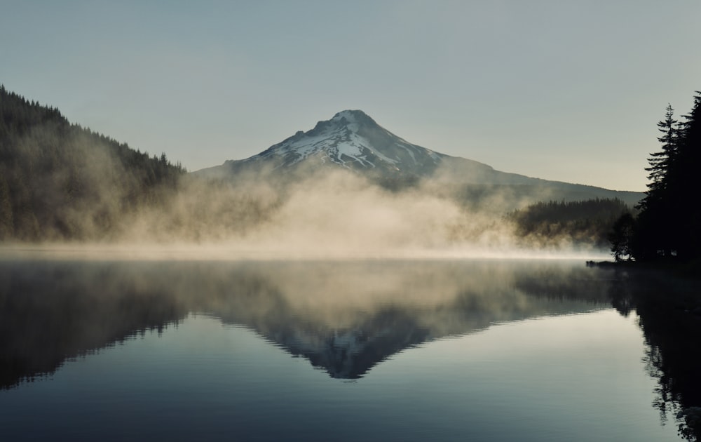 lake in forest