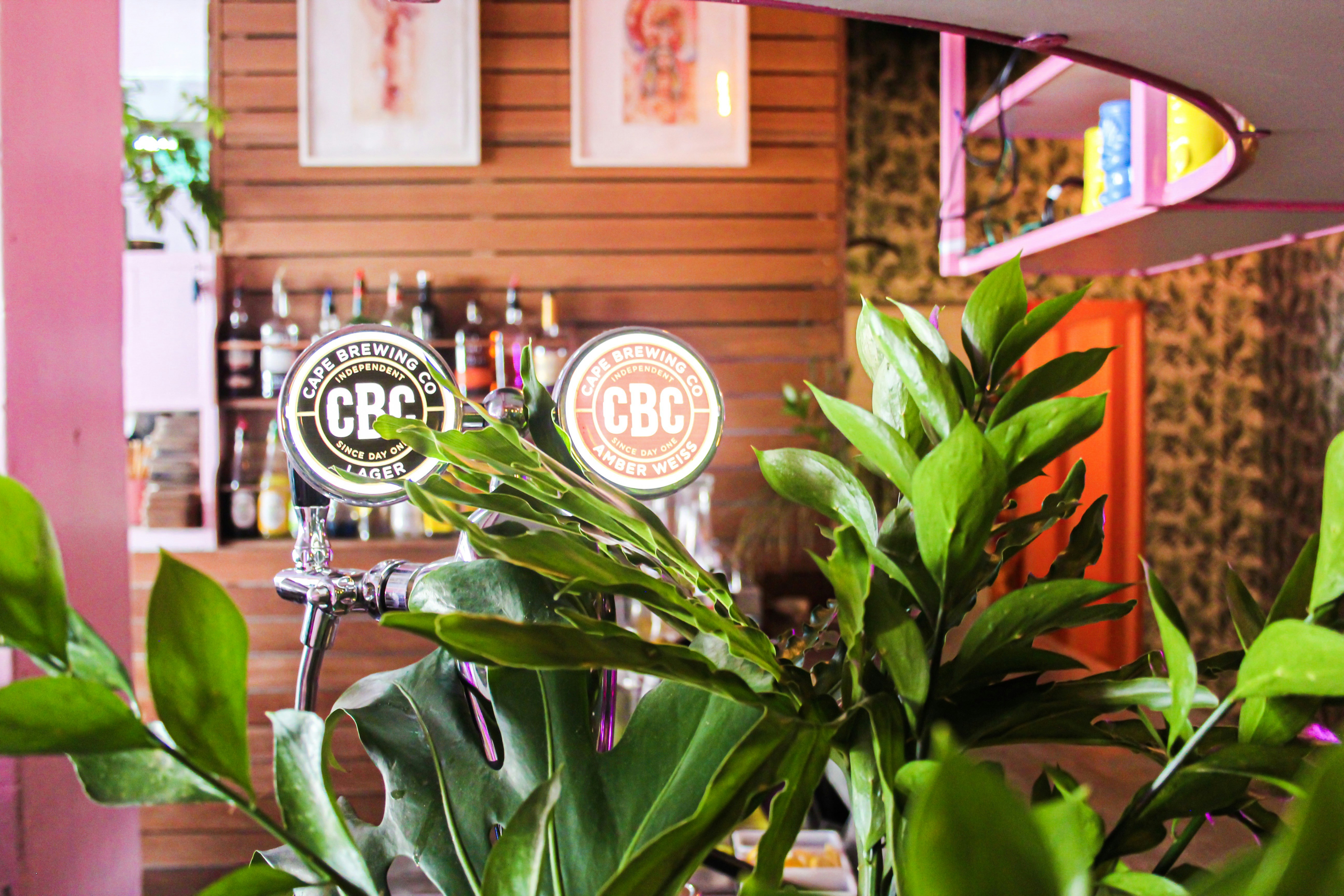 Bar Paradise