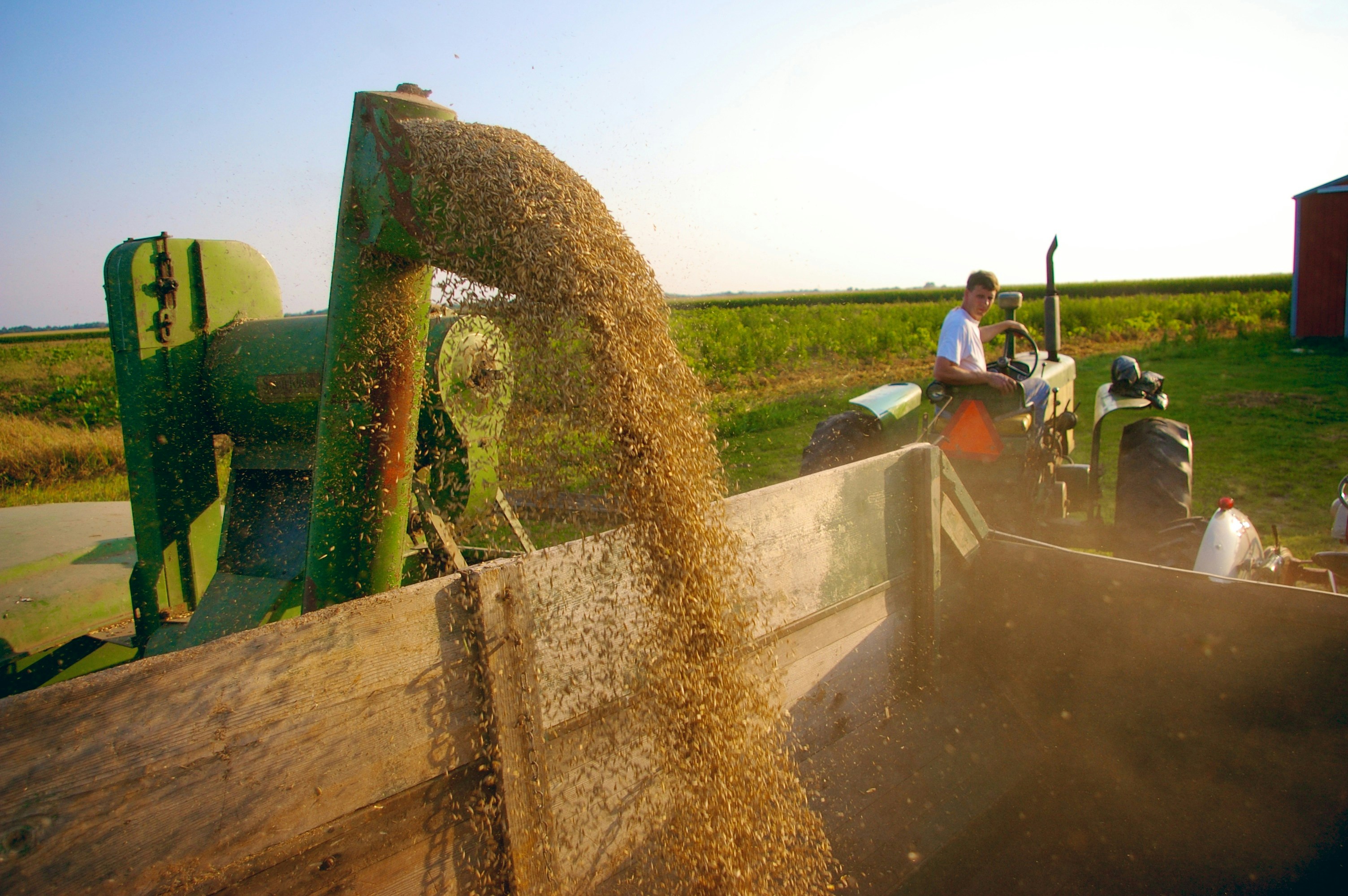 Business Image