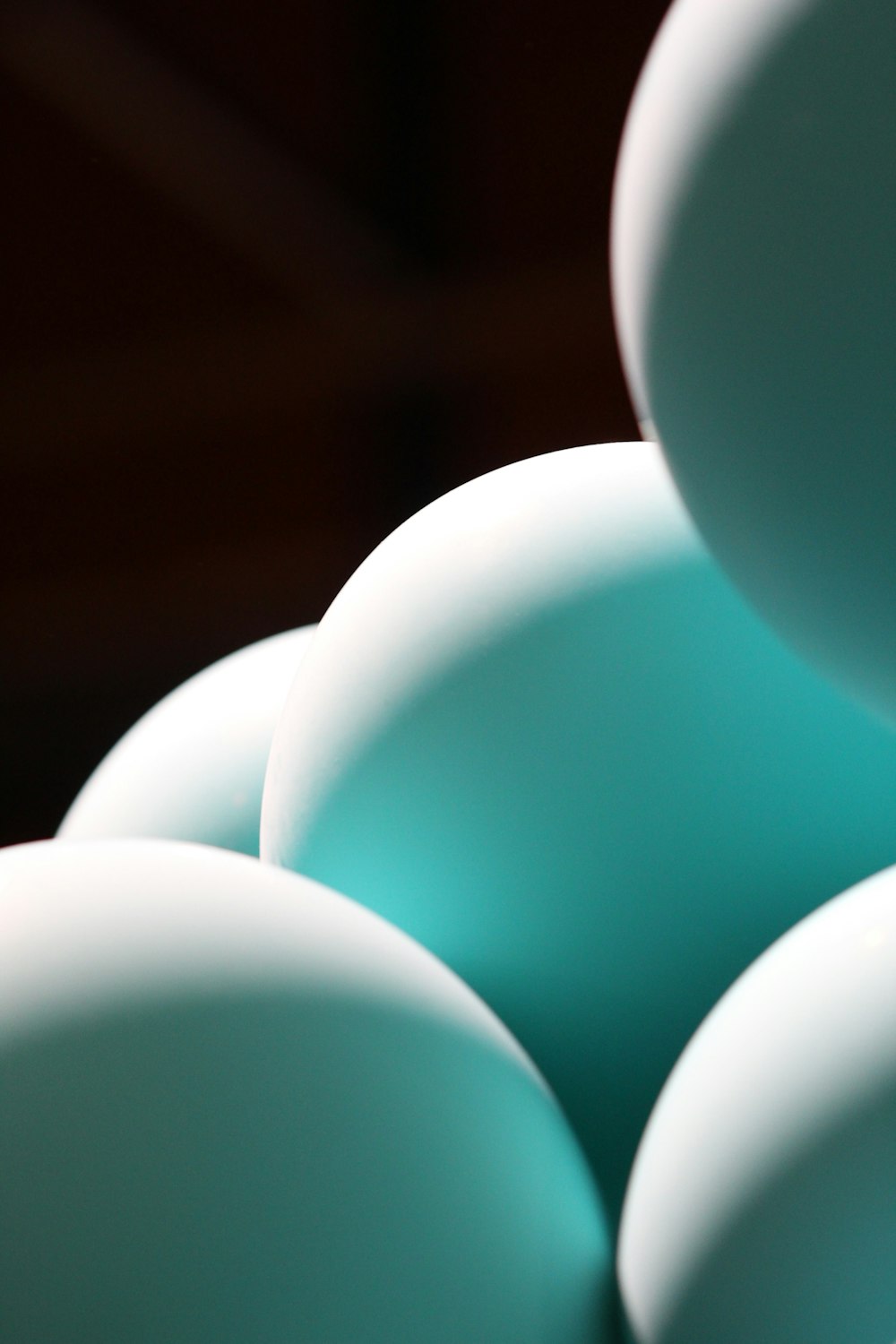 macro photography of white eggs