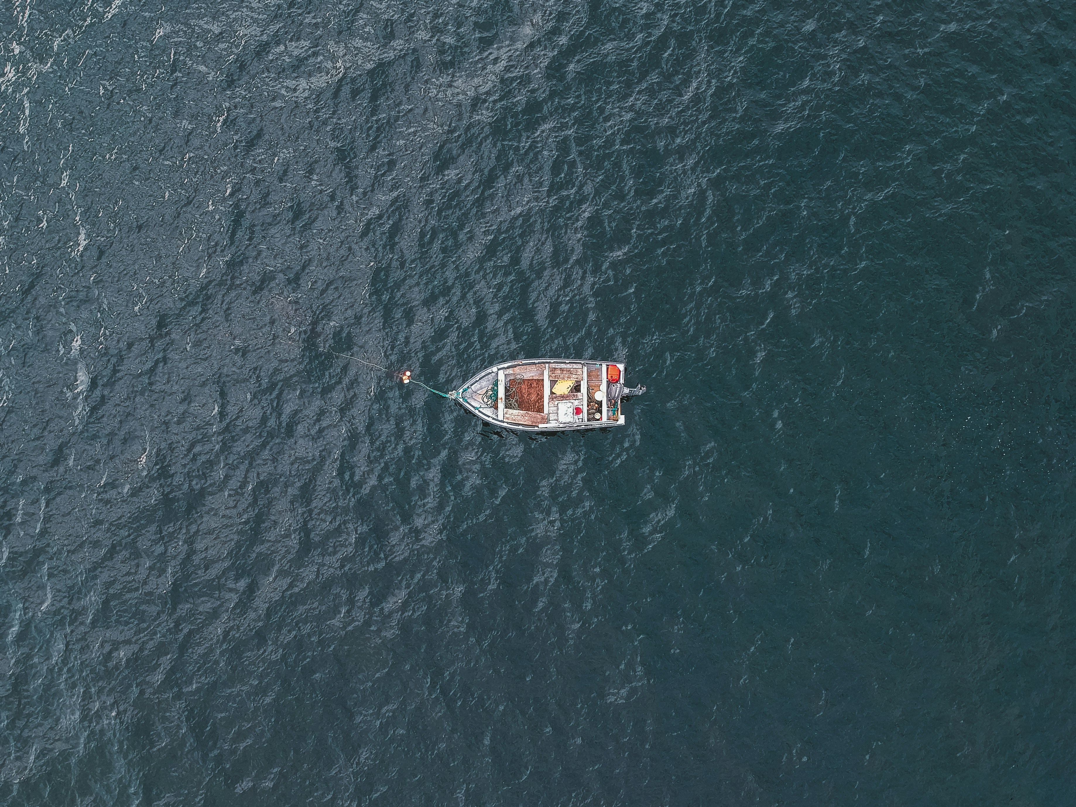 Photo by introspectivedsgn