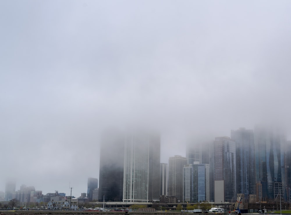 white buildings