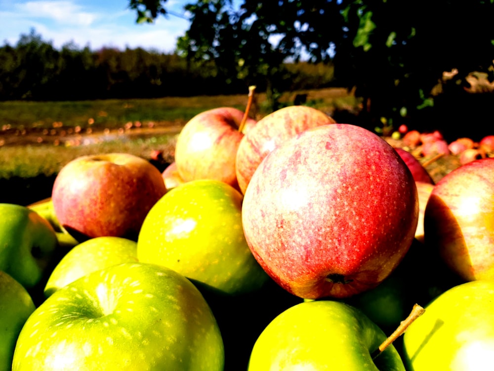 red and green apples