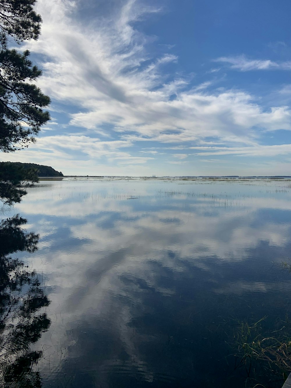 white clouds