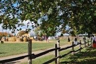A rural scene with a farm setting highlighted by a group of people gathered around a large stack of hay bales. The background includes a white domed structure, and the scene is bordered by lush green trees and a wooden fence. The path is lined with wooden stakes, and there are individuals walking and interacting in the area.