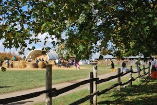 A rural scene with a farm setting highlighted by a group of people gathered around a large stack of hay bales. The background includes a white domed structure, and the scene is bordered by lush green trees and a wooden fence. The path is lined with wooden stakes, and there are individuals walking and interacting in the area.