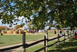 A rural scene with a farm setting highlighted by a group of people gathered around a large stack of hay bales. The background includes a white domed structure, and the scene is bordered by lush green trees and a wooden fence. The path is lined with wooden stakes, and there are individuals walking and interacting in the area.