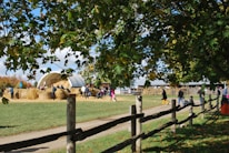 A rural scene with a farm setting highlighted by a group of people gathered around a large stack of hay bales. The background includes a white domed structure, and the scene is bordered by lush green trees and a wooden fence. The path is lined with wooden stakes, and there are individuals walking and interacting in the area.