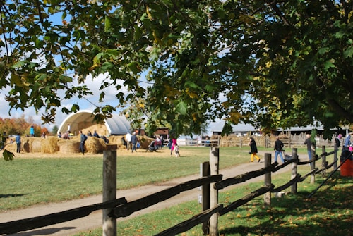 A rural scene with a farm setting highlighted by a group of people gathered around a large stack of hay bales. The background includes a white domed structure, and the scene is bordered by lush green trees and a wooden fence. The path is lined with wooden stakes, and there are individuals walking and interacting in the area.