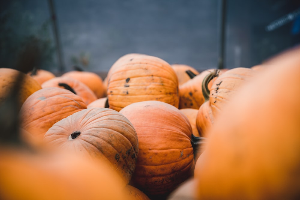 pile of orange pumpkins