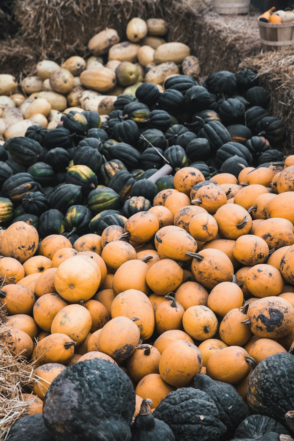 round yellow fruit