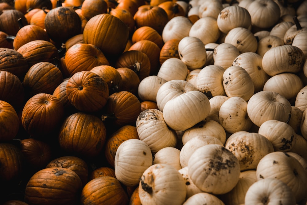 white and brown seeds