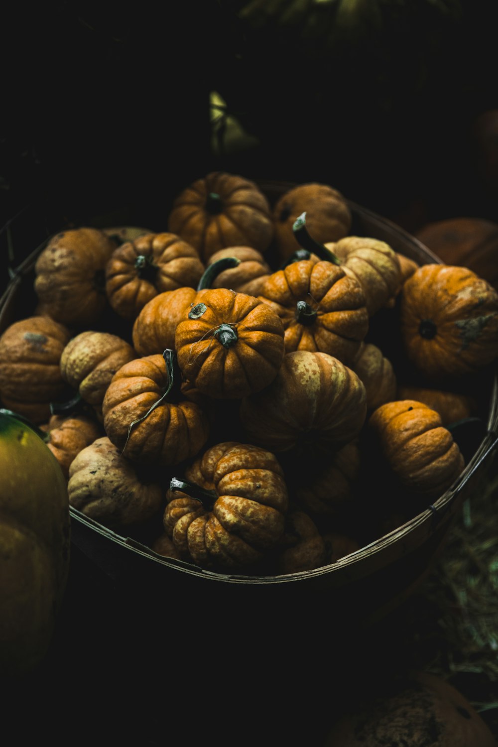 squashes in bucket