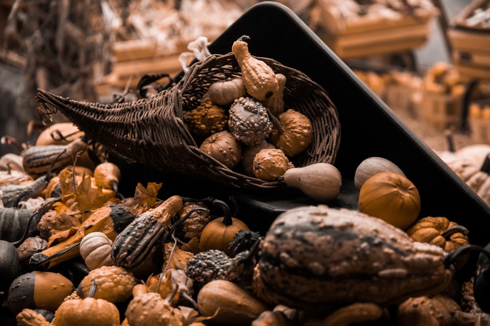 brown squash on display