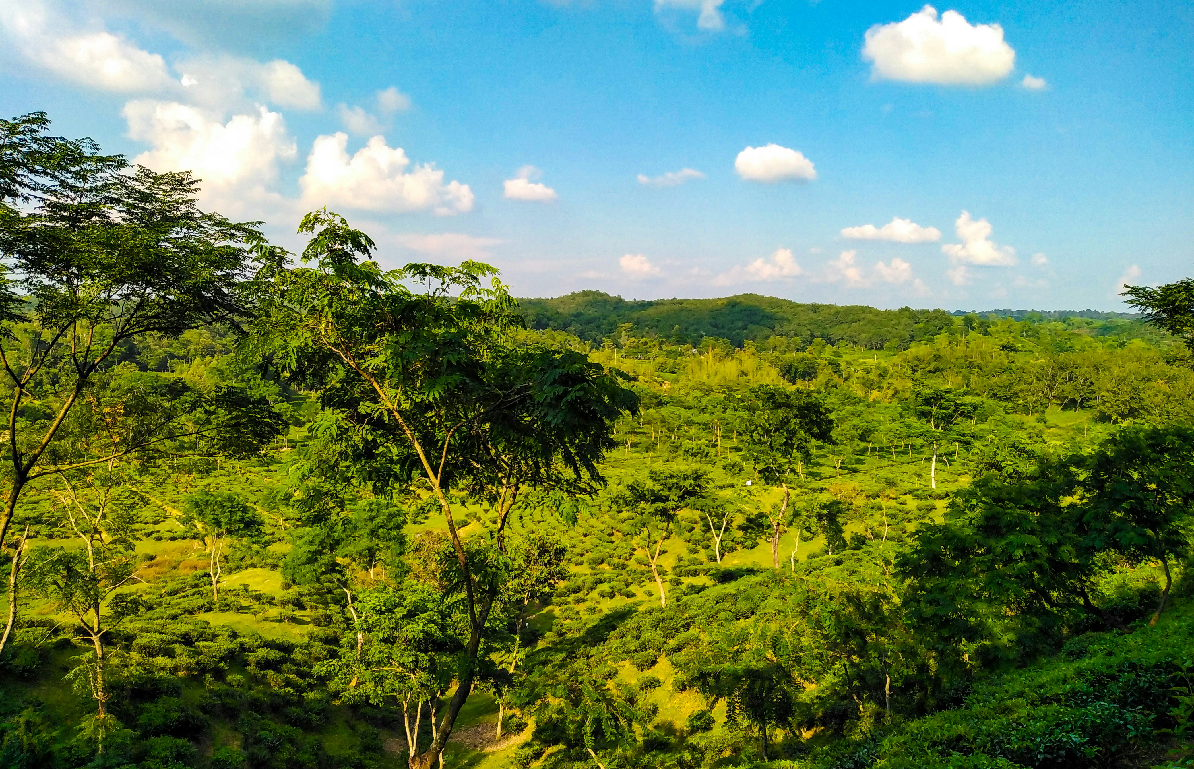 Photo by place2bangladesh