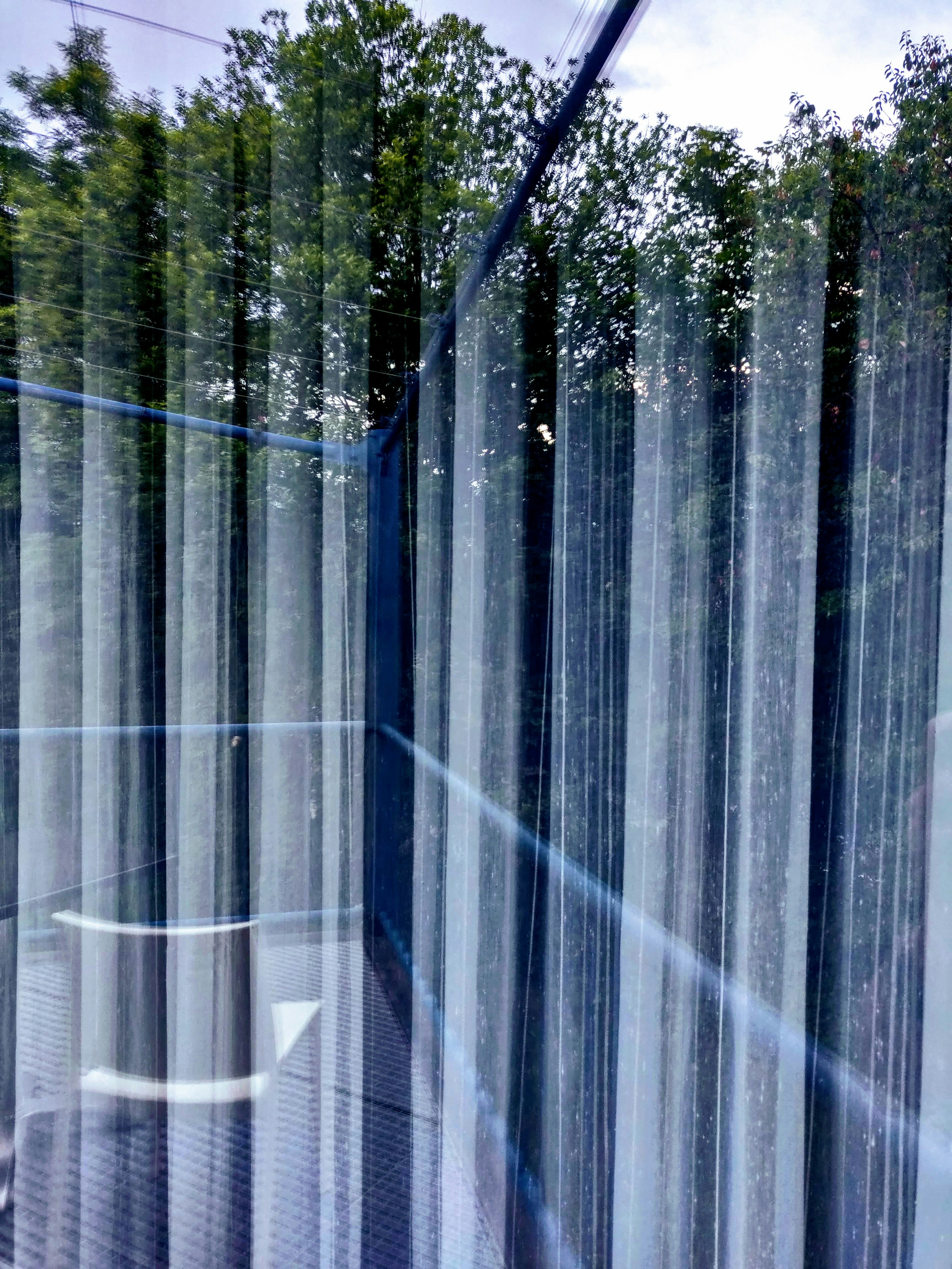 Photo by banibratosinha98