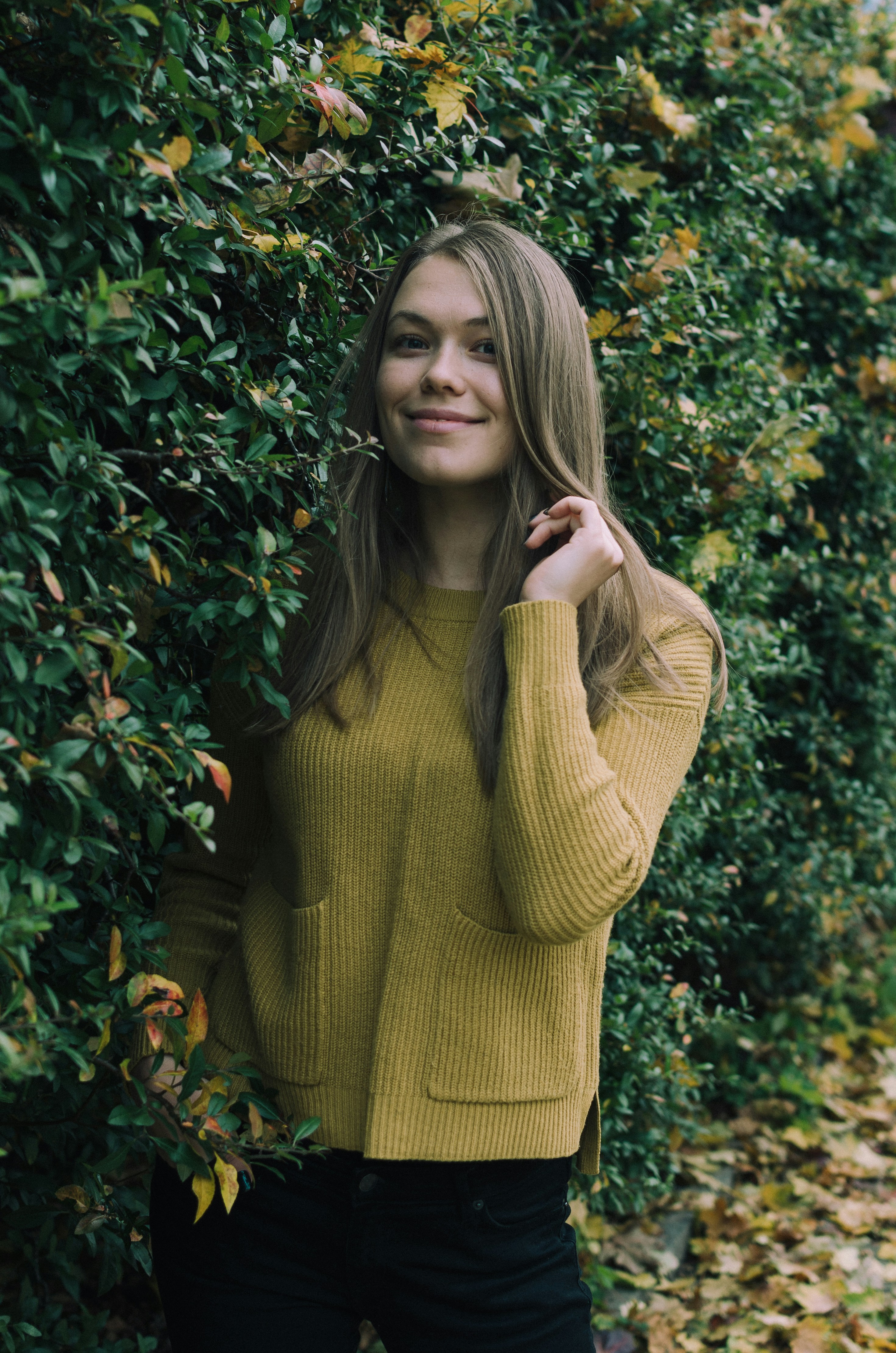 Olive Knit Cardigan