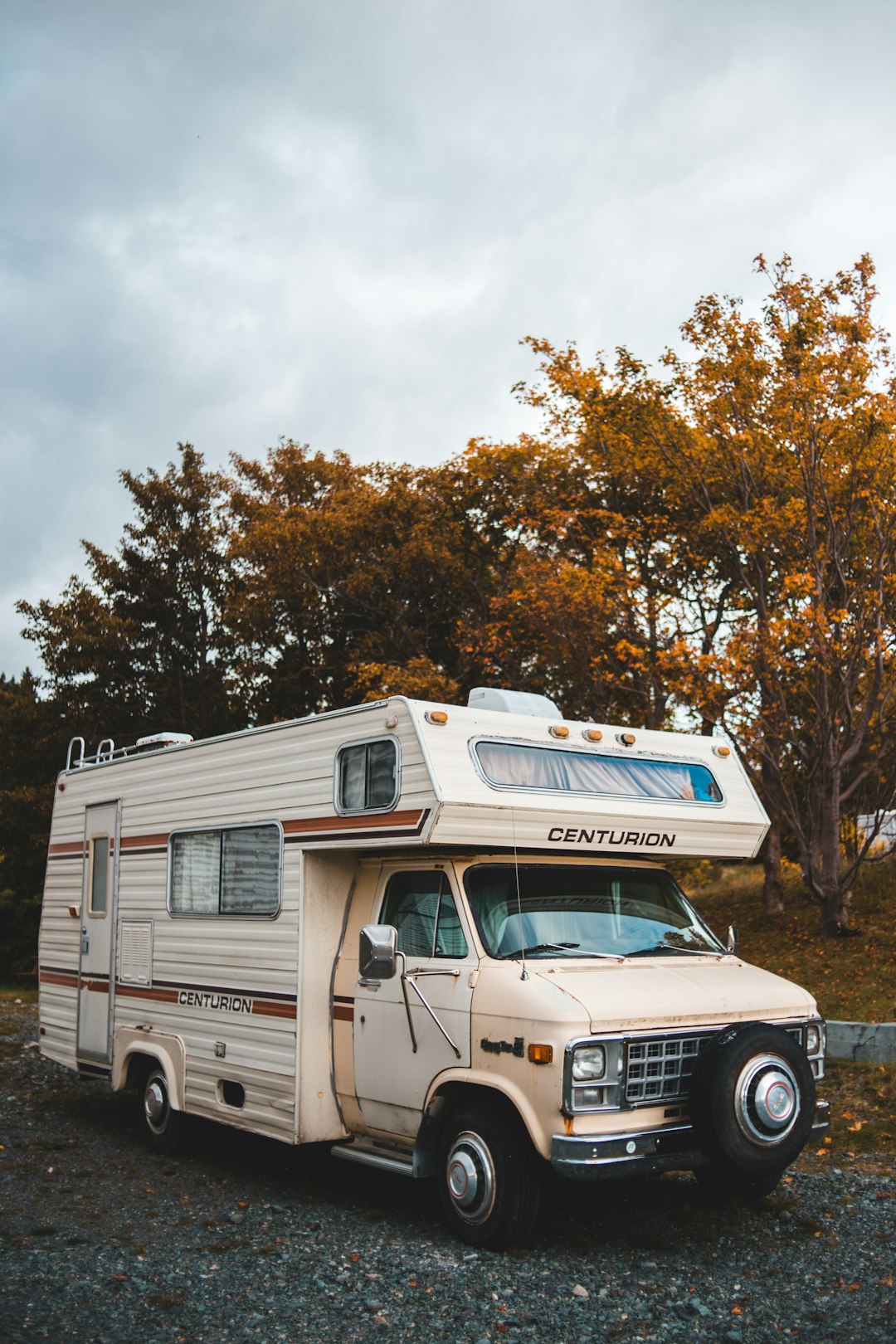 motorhome parked in front of tree