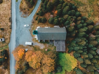 An aerial view of a house surrounded by dense trees, with a road running alongside. The foliage displays a mix of green, orange, and yellow hues, suggesting a transition between seasons. Two vehicles are parked near the building, and the scene captures a rural and tranquil setting.