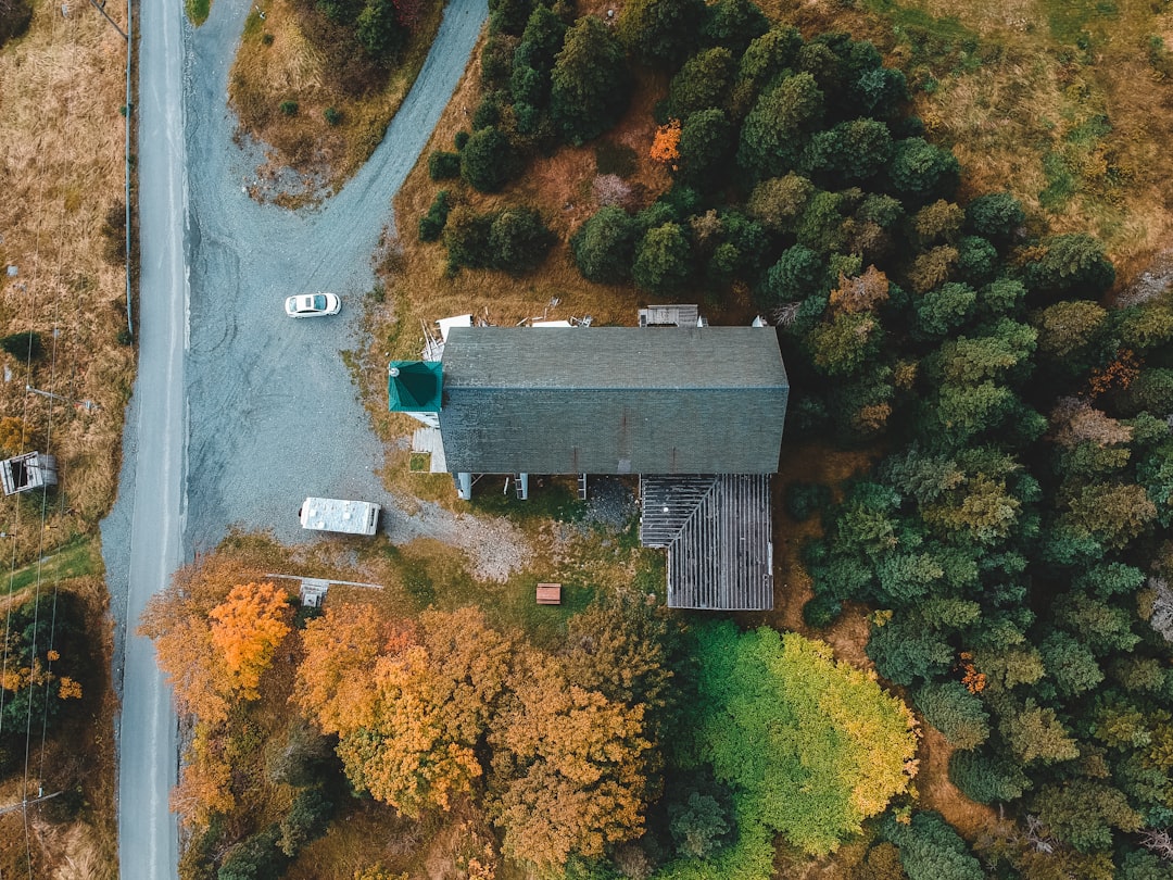 aerial photography of house surrounded by trees