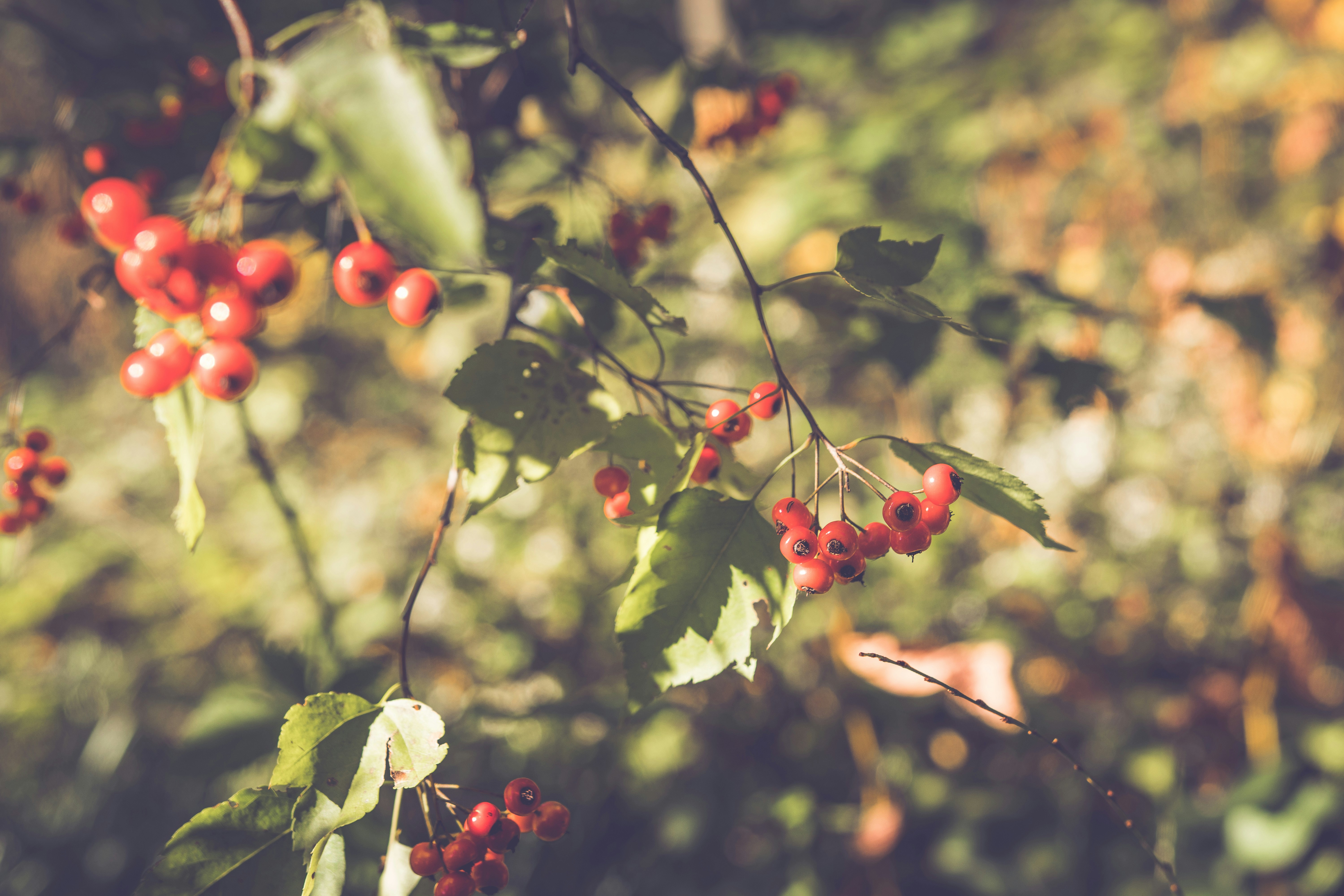 Photo by create4eyes