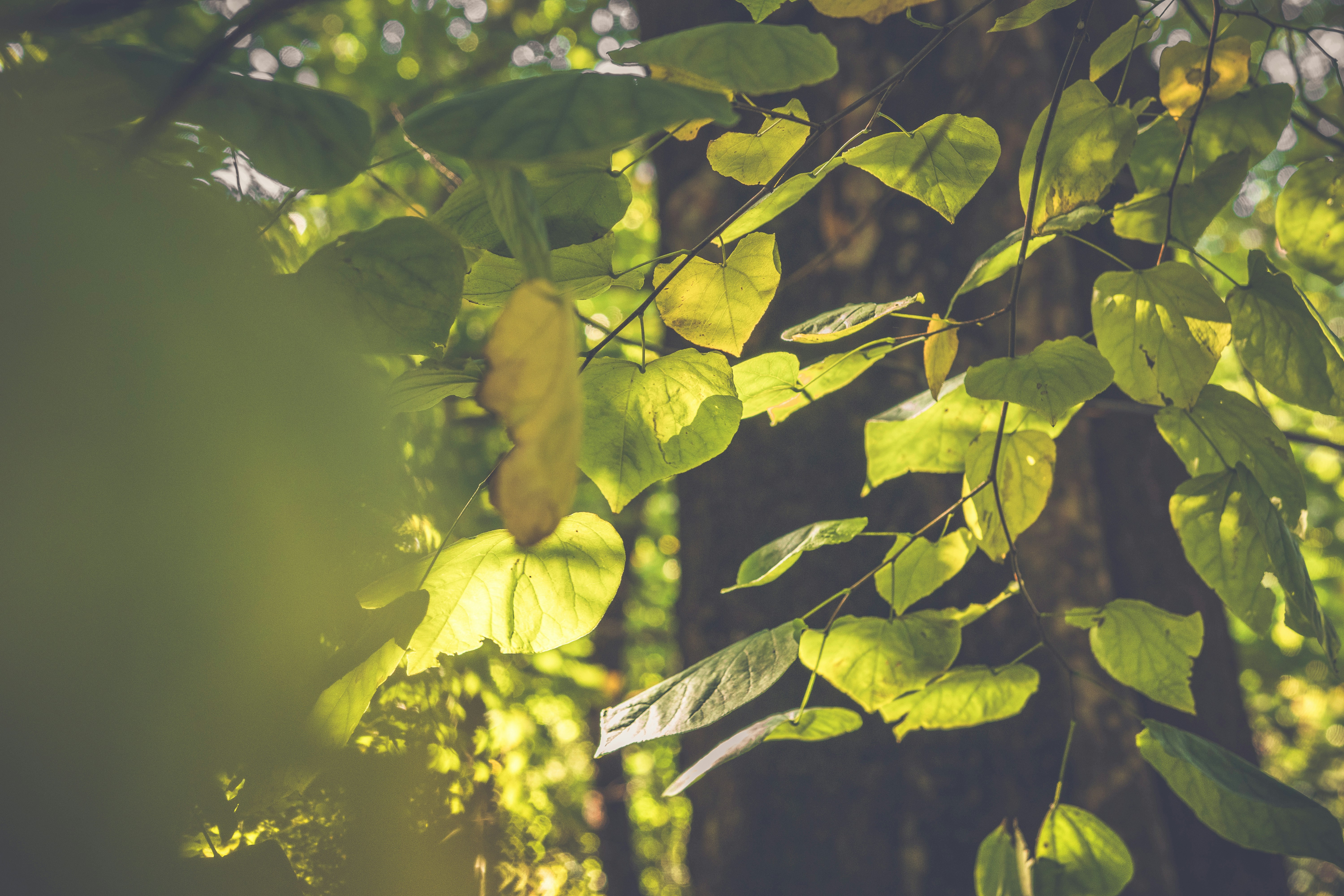 Photo by create4eyes