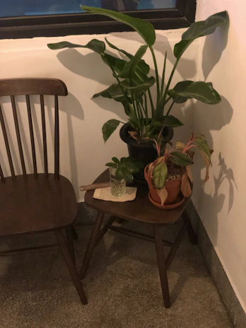 A cozy corner with a wooden chair and a small side table holding a potted plant and a cup.