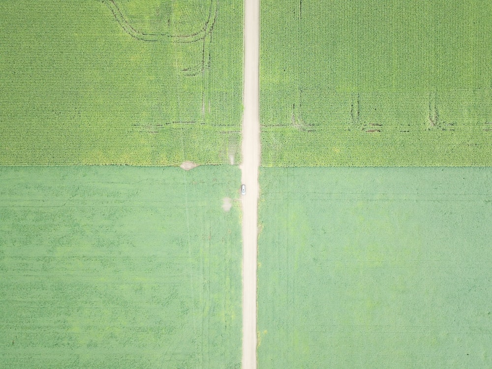 aerial photography of green fields during daytime