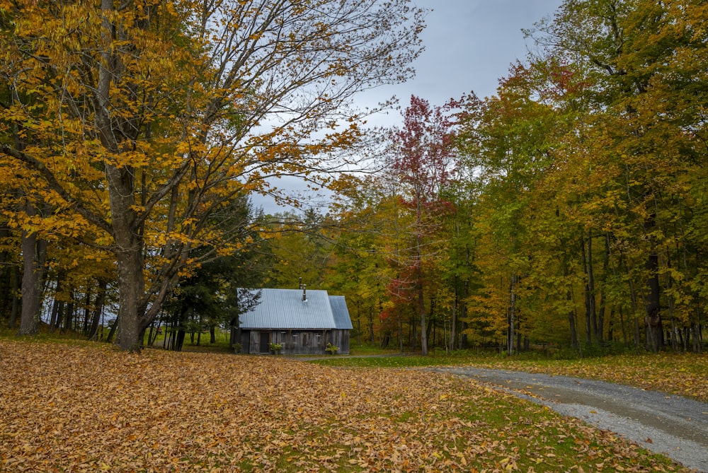 white and brown house near trees